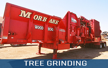 Tree Grinding